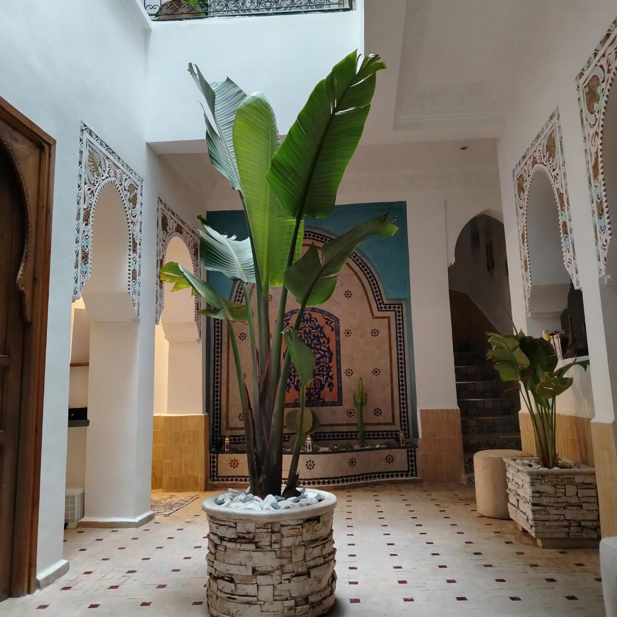 Riad & Spa Sous Le Soleil Chez Jerome Et Pamela Ch Marrakchi マラケシュ エクステリア 写真